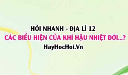 Các biểu hiện của khí hậu nhiệt đới ẩm gió mùa ở Việt Nam nước ta? Địa lí 12 Chân trời sáng tạo